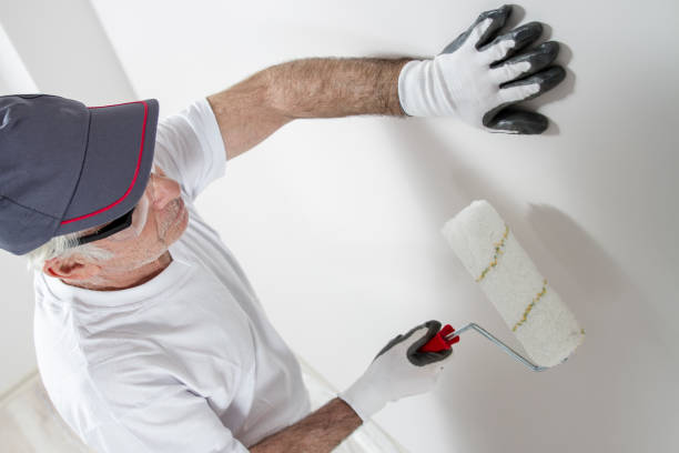  Sugar City, ID Mold Removal Pros