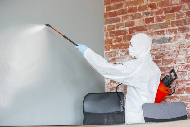 Forensic Mold Investigation in Sugar City, ID