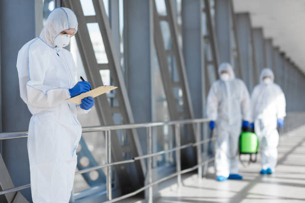 Best Mold Damage Restoration  in Sugar City, ID