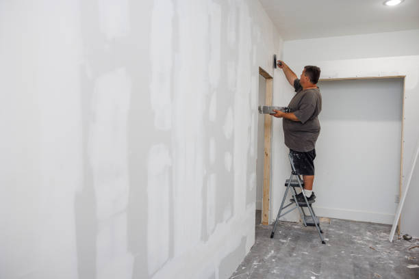 Best Real Estate Mold Inspection  in Sugar City, ID