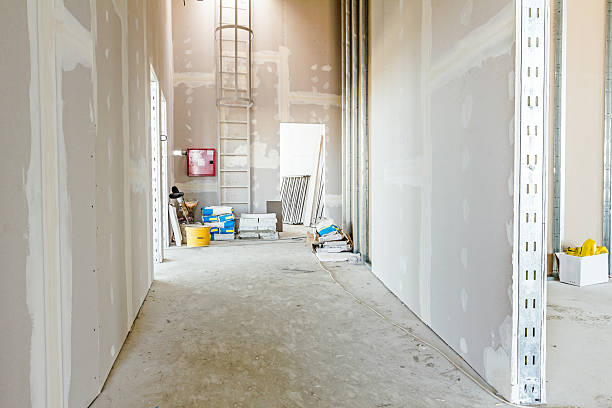 Best Mold Remediation for Healthcare Facilities  in Sugar City, ID
